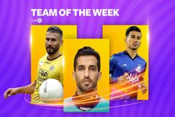 تیم منتخب هفته هفدهم لیگ برتر