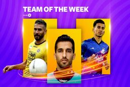 تیم منتخب هفته هفدهم لیگ برتر