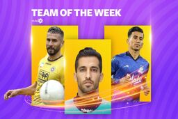 تیم منتخب هفته هفدهم لیگ برتر