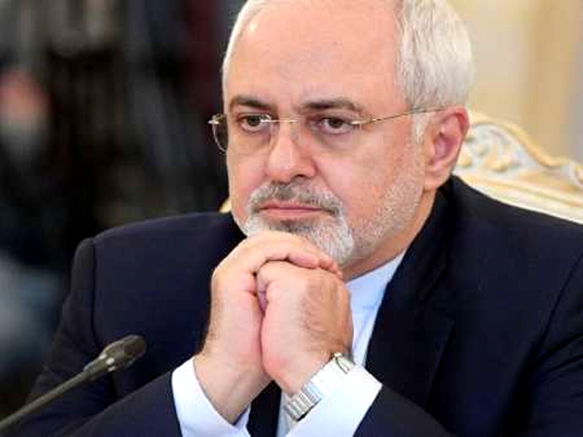استاد دانشگاه: استعفای ظریف به ضرر منافع ملی است
