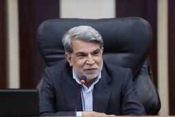 صالح: به دنبال ایجاد نهاد مالی پولی در استان ها هستیم