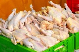 قیمت مرغ کیلویی چند؟ | قیمت مرغ در بازار امروز