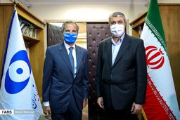 تفاهمات مدیرکل آژانس با رئیس سازمان انرژی اتمی ایران