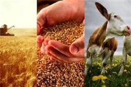 هیأت 70 نفره اتحادیه اروپا شنبه به تهران می‌آید/ احتمال تأسیس دفتر اتحادیه اروپا در تهران