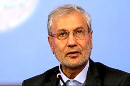 ربیعی: چرا افراد "میانه" مورد حمله افراطیون داخل و خارج قرار می گیرند؟