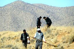 دومین مرحله عملیات احیای مناطق آسیب دیده جنگل های پاسارگادآغازشد