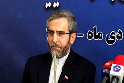 باقری: گاهی اوقات زندانیان خارجی ما حاضر نیستند از زندان ایران به زندان کشور خود بروند