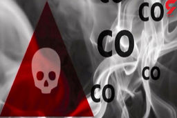 4 زن و مرد و 2 کودک عزرائیل را دیدند / همه در کرمان شوکه شدند