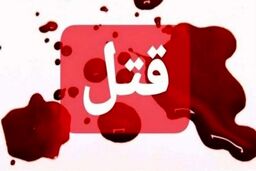 قتل زن جوان کرمانی در تاکسی + جزئیات در قلعه گنج