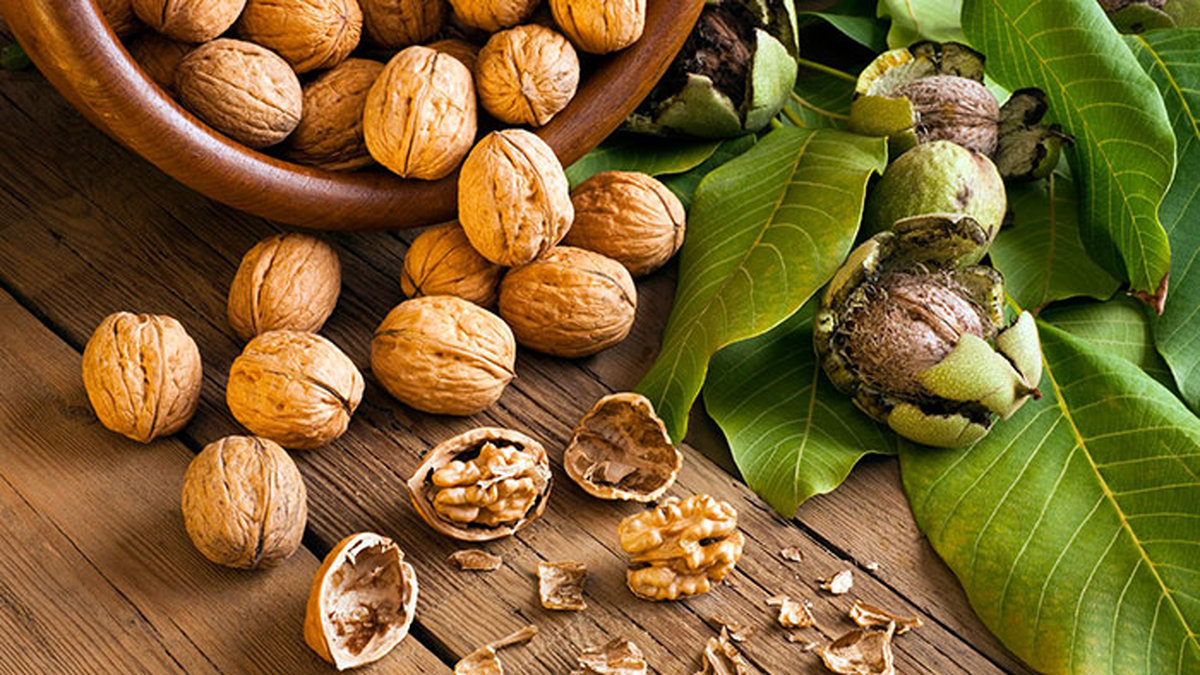 اگر یک عدد گردو بخوریم چه اتفاقیمی افتد؟