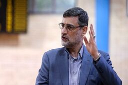 آخرین برنامه‌‌های انتخاباتی قاضی زاده