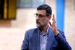 آخرین برنامه‌‌های انتخاباتی قاضی زاده