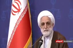 اژه ‎ای: مشکل دستگیری‌های بدون اطلاع خانواده باید حل شود