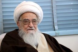 آیت‌الله صافی گلپایگانی: ما مدعی یک نظام پاک هستیم، پس چرا اینطور پول بیت‌المال را می‌برند؟