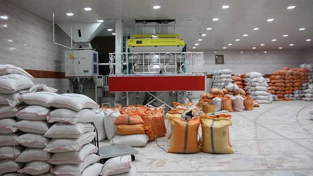 نگاه دولت و وزارت جهاد به بازار برنج واقعبینانه است