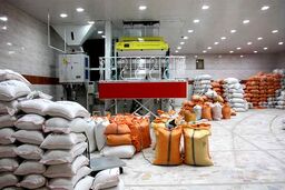 نگاه دولت و وزارت جهاد به بازار برنج واقع‌بینانه است
