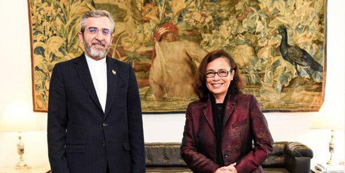 باقری: همکاری ایران و برزیل زمینهساز تحکیم ثبات و ترویج امنیت پایدار خواهد بود