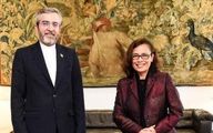 باقری: همکاری ایران و برزیل زمینه‌ساز تحکیم ثبات و ترویج امنیت پایدار خواهد بود