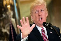 "دونالد ترامپ احتمالا در 2020 هم رئیس جمهور می‌شود"