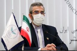 درخواست مهم معاون وزیر خارجه از فرانسه 