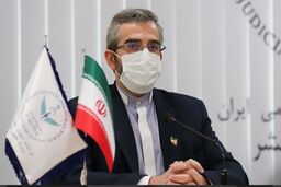 درخواست مهم معاون وزیر خارجه از فرانسه 