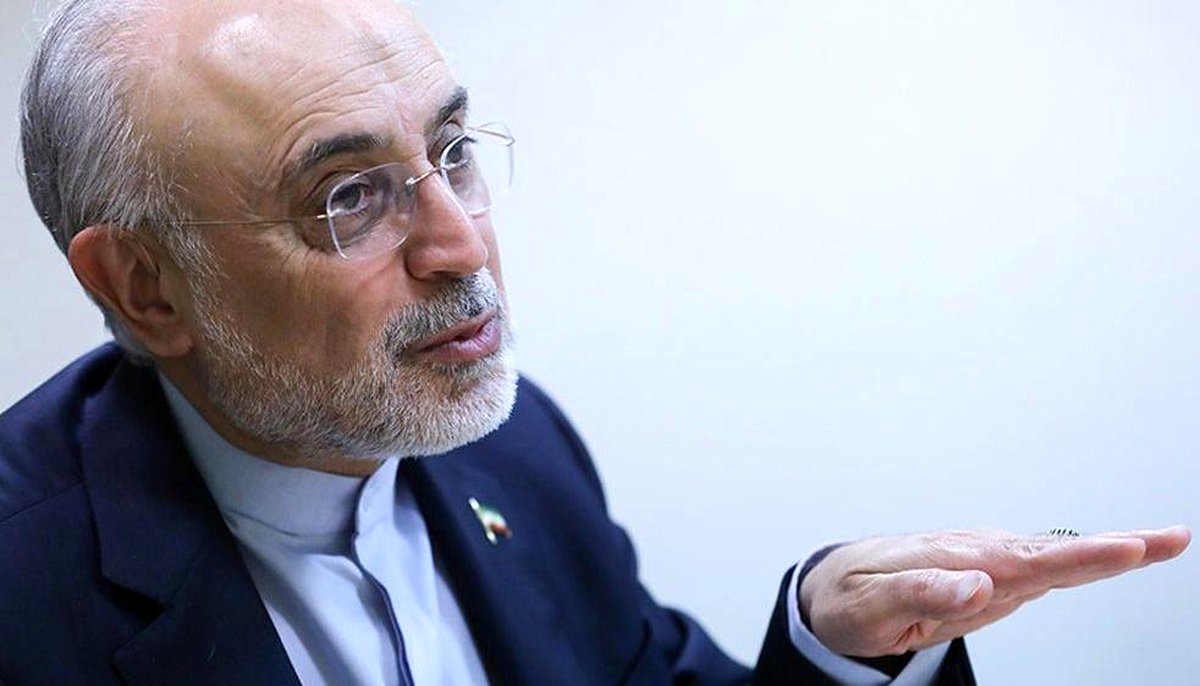صالحی: اگر ایران بخواهد اوج بگیرد، باید تکلیف روابط بینالملل خود را روشن کند