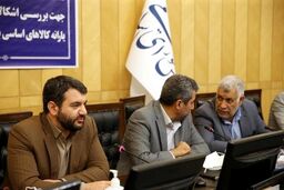 پورابراهیمی: اجازه نمی‌دهیم حتی یک نفر واجد شرایط از دریافت یارانه محروم بماند