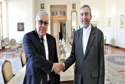 جزئیات دیدار معاون سیاسی وزیر خارجه روسیه با «باقری»