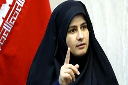 بودجه مقابله با ریزگردها حذف نشده است | آمادگی مجلس برای حل مشکلات محیط زیستی
