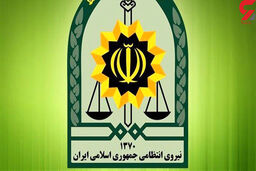 تحلیل تغییر ساختار نیروی انتظامی چیست؟