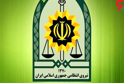 تحلیل تغییر ساختار نیروی انتظامی چیست؟