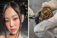 9 راز جادویی زیبایی زنان جهان لو رفت | برای داشتن صورت زیبا بخوانید
