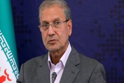 واکنش سخنگوی دولت به روایت رد صلاحیت هاشمی رفسنجانی