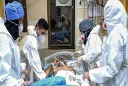 رکنا مدعی شد: تایید اولین فوتی قارچ سیاه در ایران