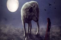 روانشناسی رابطه | اگر خانوادت این نشانه ها رو داشت تبریک و تشکر از شما چون یک خانواده شاد درست کردید