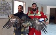 دستگاه سالتو در شهربازی گز اصفهان چطور جان پسر نوجوان را گرفت؟