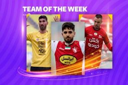 تیم منتخب  هفته پانزدهم لیگ برتر