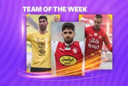تیم منتخب  هفته پانزدهم لیگ برتر
