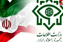 شناسایی  شبکه 139 نفری فساد اقتصادی با 267 شرکت کاغذی توسط وزارت اطلاعات