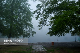 تصاویر کم نظیر از بهشت بی نظیر عباس‌آباد