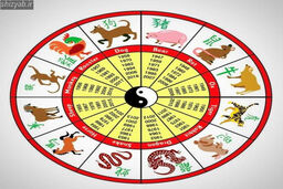 متولدین این ماه ها ساده دل ترین هستند | بگو عشقت متولد چه ماهی هست تا بهت بگم چقدر ساده دل است