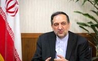 ماموریت بهادر امینیان در افغانستان پایان یافت