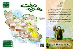 آیا می دانستید میزان زیادی از جنگل‌های ایران از دست رفته است؟