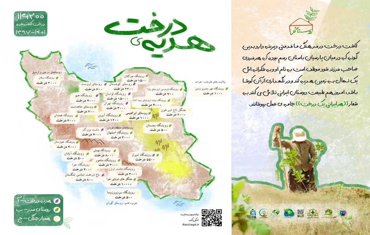 آیا می دانستید میزان زیادی از جنگلهای ایران از دست رفته است؟