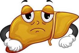 اضافه وزن کبدتان را چرب می کند