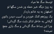 چرا این بساط  سگ گردانی و سگ بازی جمع نمی شه؟ +عکس