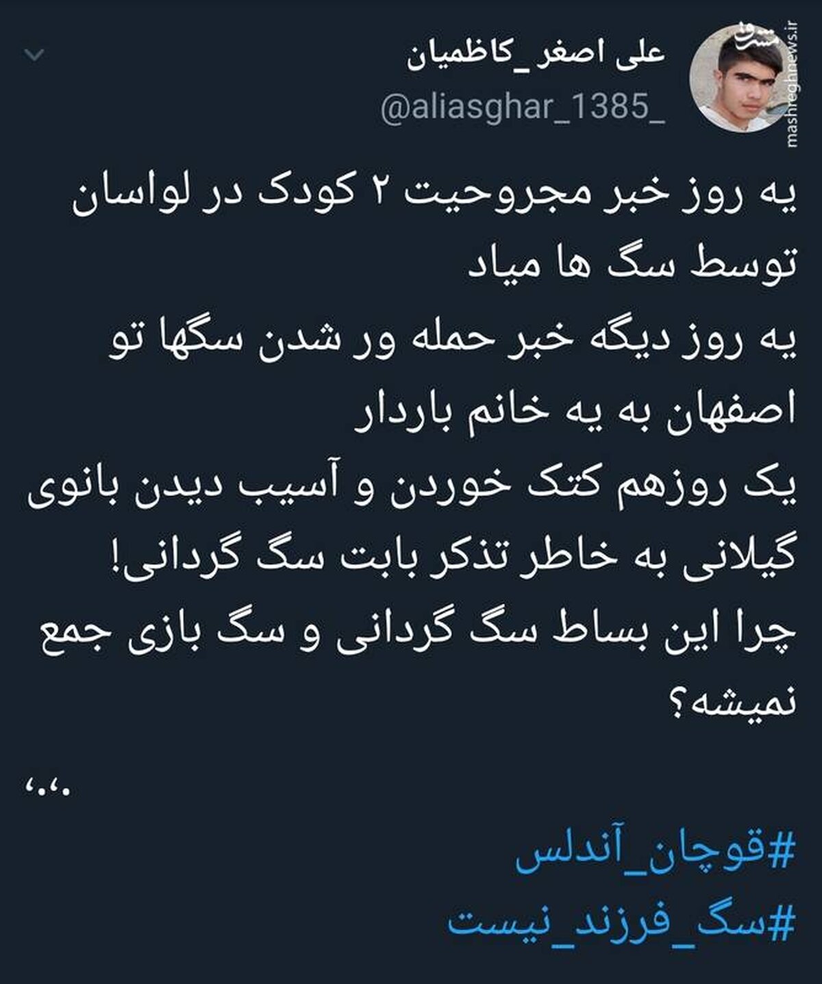 چرا این بساط  سگ گردانی و سگ بازی جمع نمی شه؟ +عکس