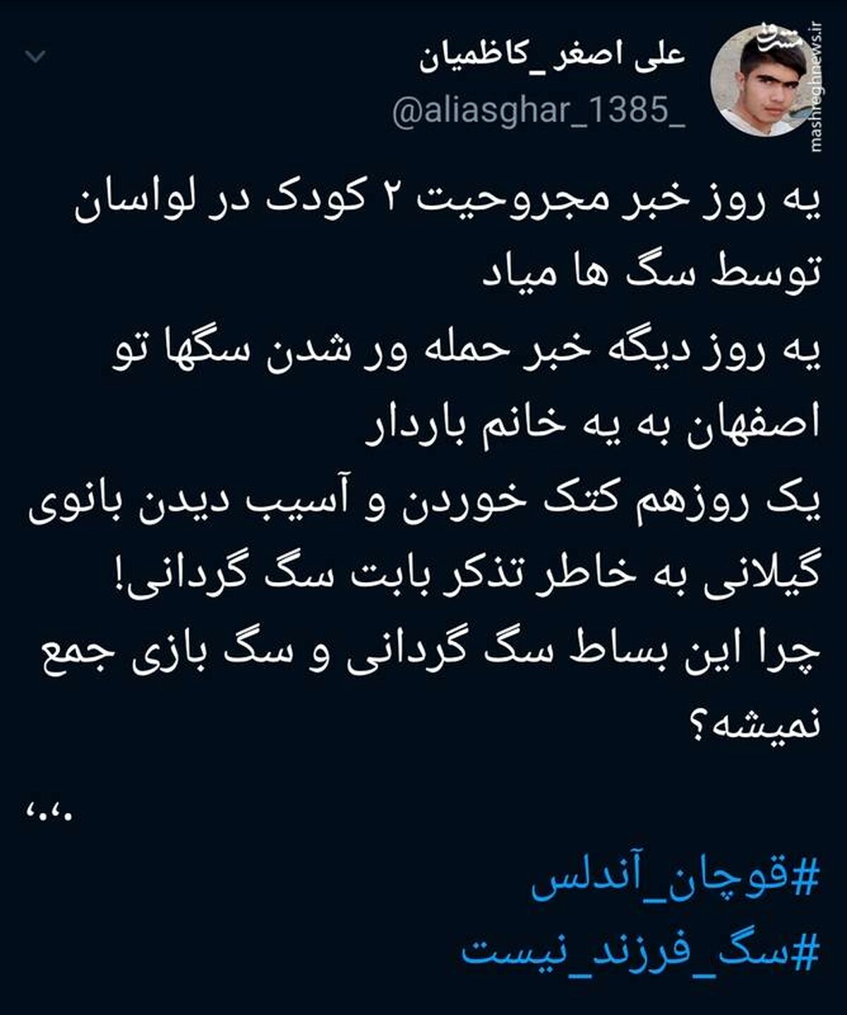 چرا این بساط  سگ گردانی و سگ بازی جمع نمی شه؟ +عکس