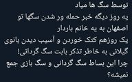 چرا این بساط  سگ گردانی و سگ بازی جمع نمی شه؟ +عکس