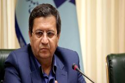 همتی:دولت جیب بانک مرکزی را فراموش کند تورم را مهار می‌کنیم
